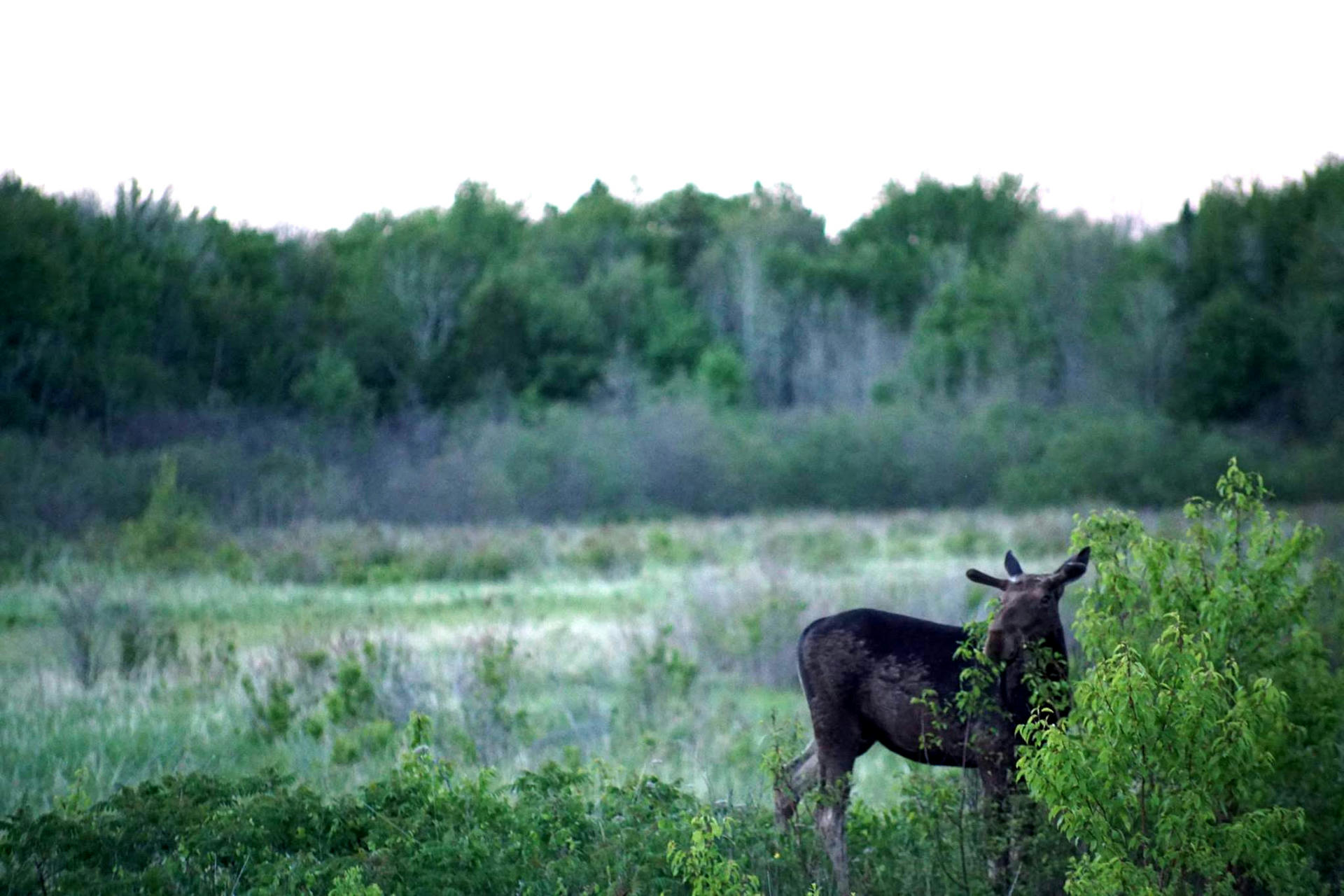 Whitehorse Road Trip Day 1