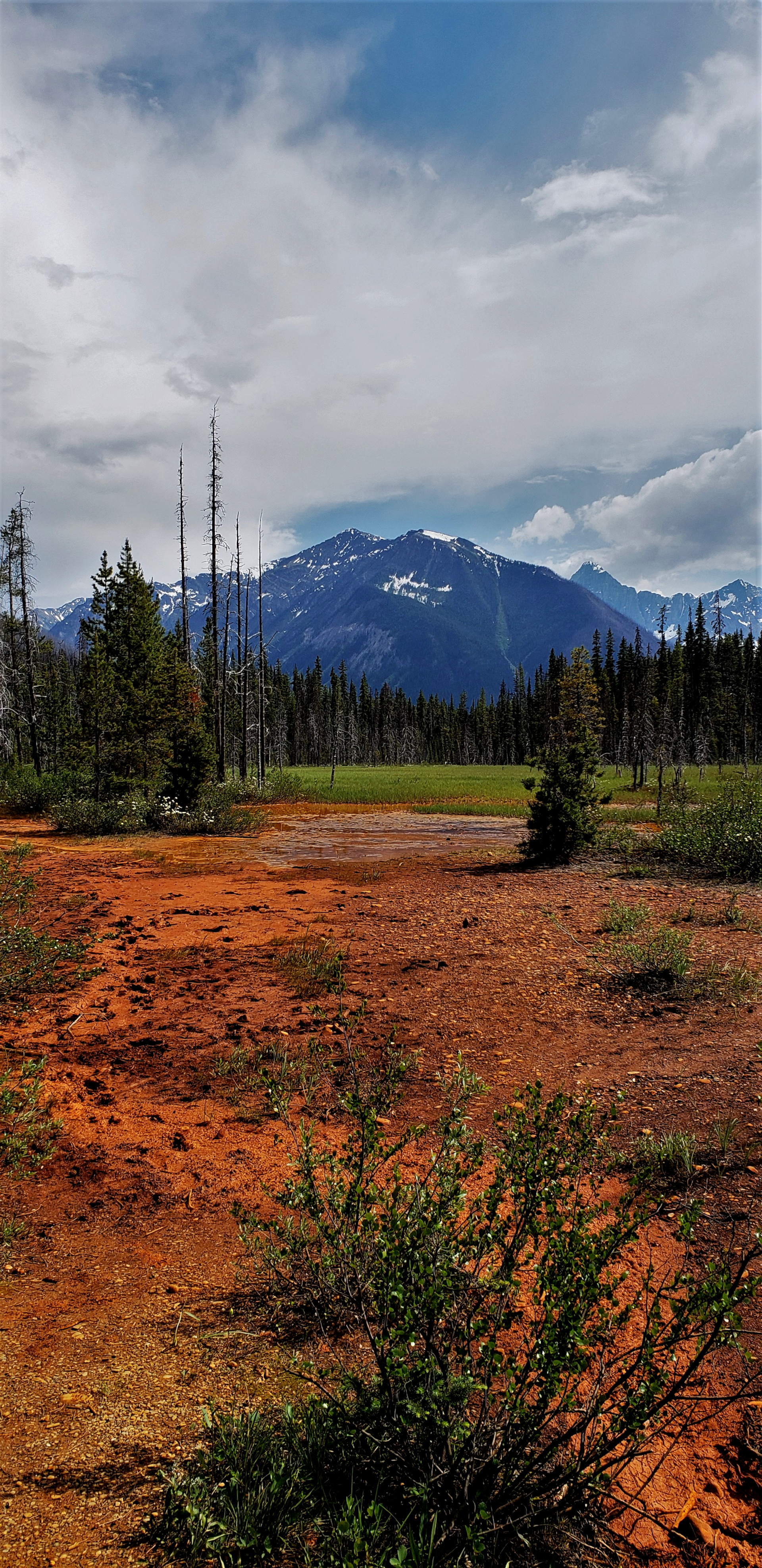Whitehorse Road Trip Day 11