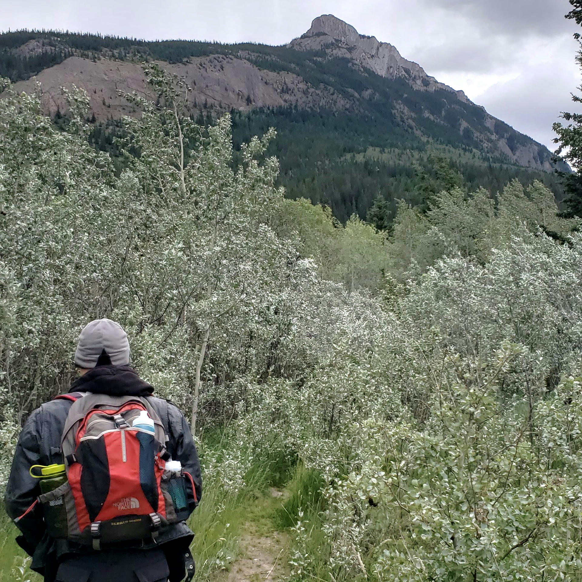 Whitehorse Road Trip Day 16